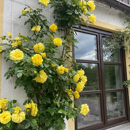 Gaestehaus Altes Faehrhaus * Bad Tölz