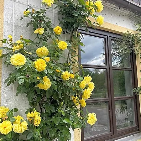 Gaestehaus Altes Faehrhaus Otel
